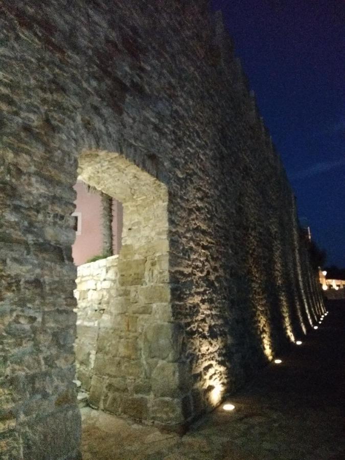Apartments Edo Novigrad  Zewnętrze zdjęcie