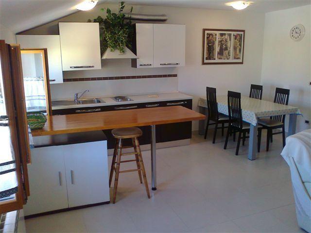 Apartments Edo Novigrad  Zewnętrze zdjęcie