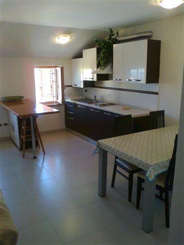 Apartments Edo Novigrad  Zewnętrze zdjęcie
