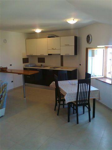 Apartments Edo Novigrad  Zewnętrze zdjęcie